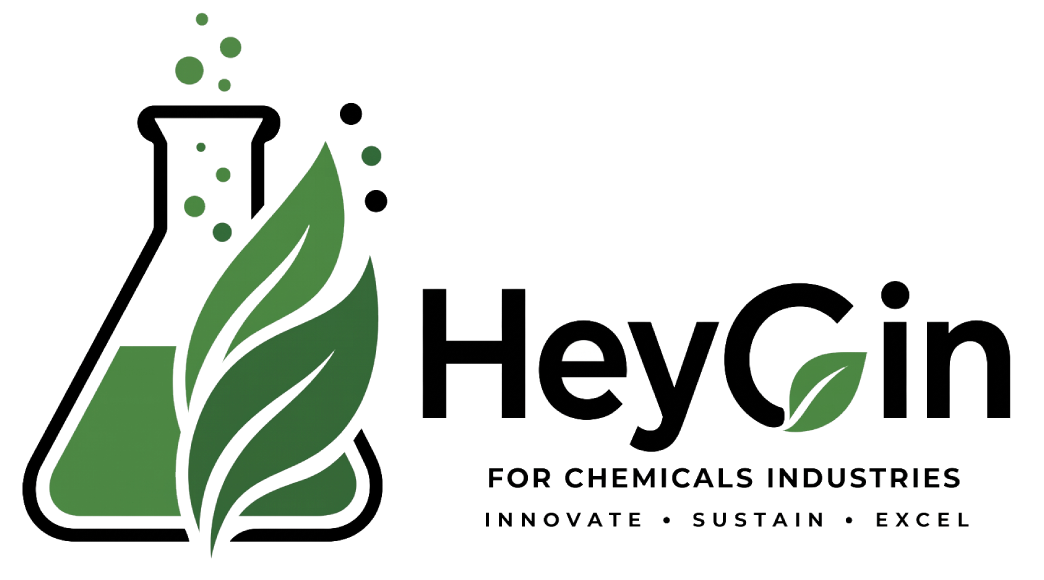 HeyGin Logo